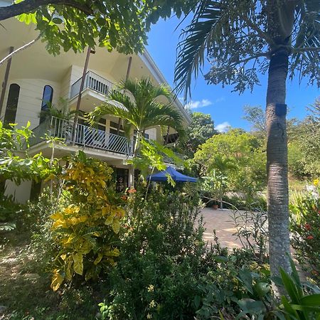 Villa Pura Vida Matapalo  Ngoại thất bức ảnh