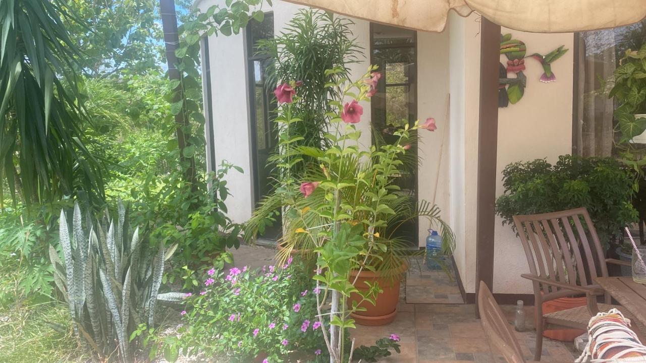 Villa Pura Vida Matapalo  Ngoại thất bức ảnh