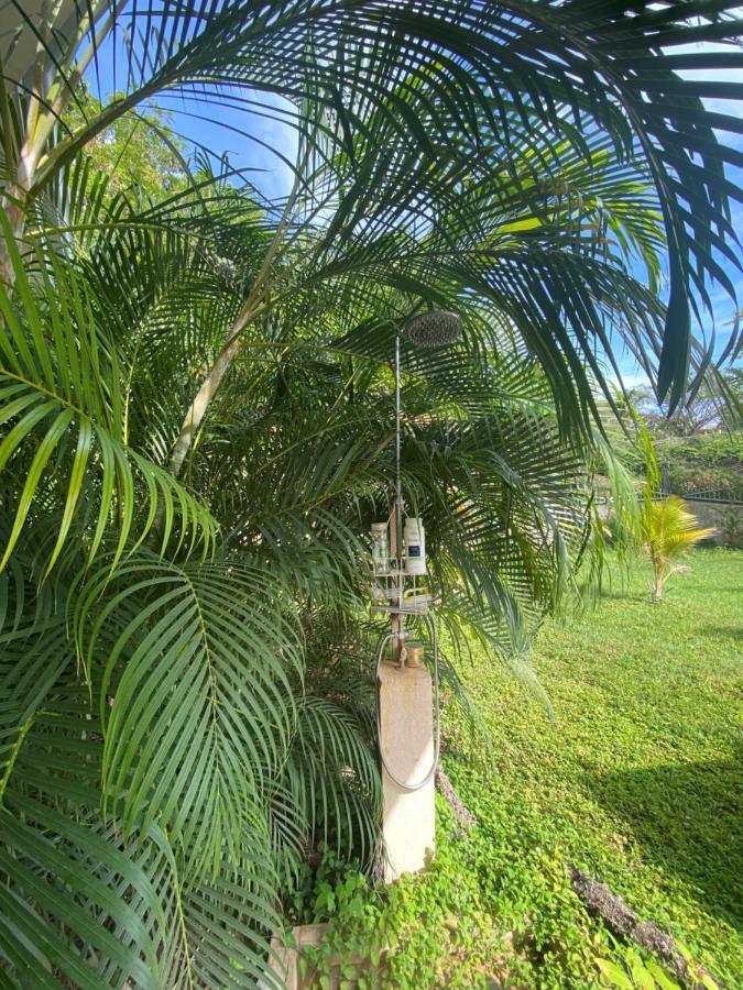 Villa Pura Vida Matapalo  Ngoại thất bức ảnh