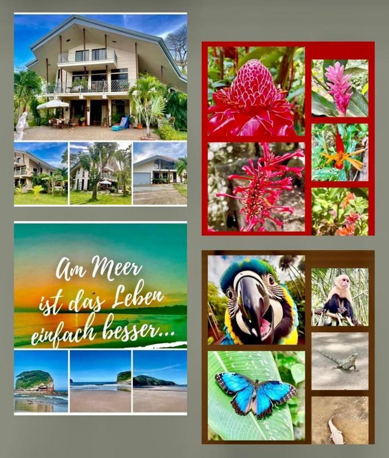 Villa Pura Vida Matapalo  Ngoại thất bức ảnh