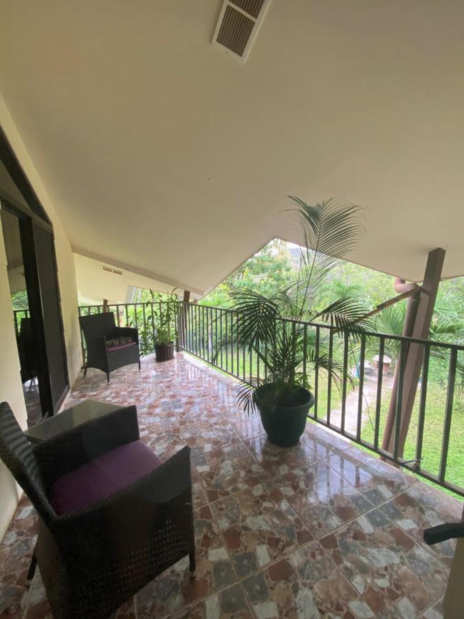 Villa Pura Vida Matapalo  Ngoại thất bức ảnh