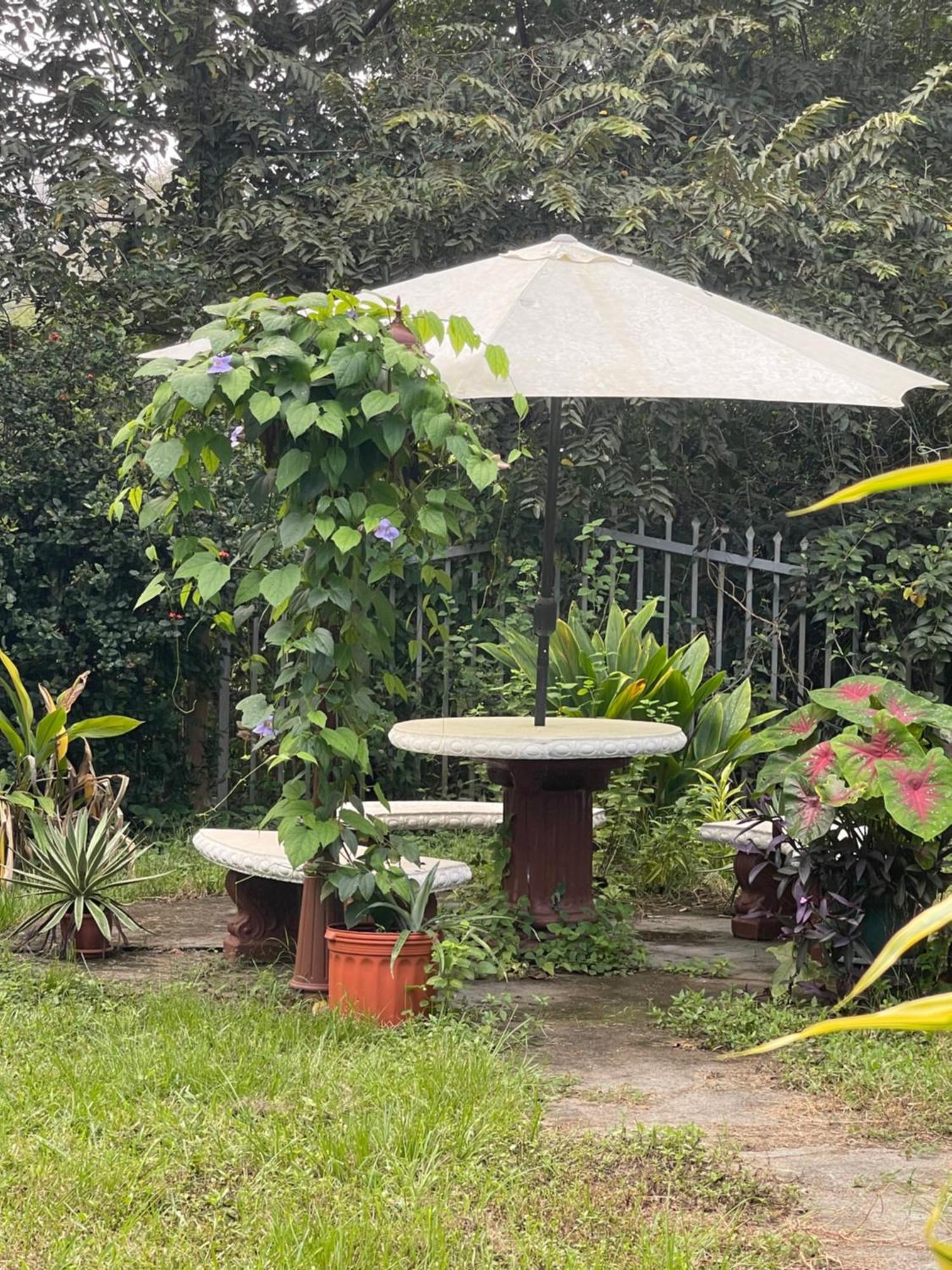 Villa Pura Vida Matapalo  Ngoại thất bức ảnh